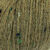 5105 Autumn Fern