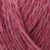 5241Raspberry