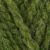 2418 Fern