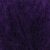 2161 Plum